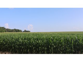 Property photo 157 - LAND AUCTION - 494.63+/- ACRES OFFERED IN 10 TRACTS IN AUDRAIN & MONROE COUNTIES MISSOURI