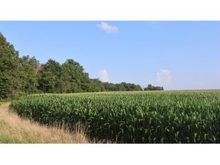 Property photo 158 - LAND AUCTION - 494.63+/- ACRES OFFERED IN 10 TRACTS IN AUDRAIN & MONROE COUNTIES MISSOURI