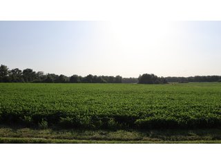 Property photo 90 - LAND AUCTION - 494.63+/- ACRES OFFERED IN 10 TRACTS IN AUDRAIN & MONROE COUNTIES MISSOURI