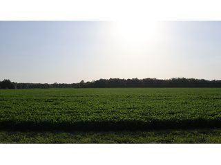 Property photo 91 - LAND AUCTION - 494.63+/- ACRES OFFERED IN 10 TRACTS IN AUDRAIN & MONROE COUNTIES MISSOURI