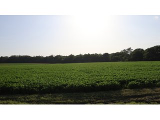 Property photo 92 - LAND AUCTION - 494.63+/- ACRES OFFERED IN 10 TRACTS IN AUDRAIN & MONROE COUNTIES MISSOURI