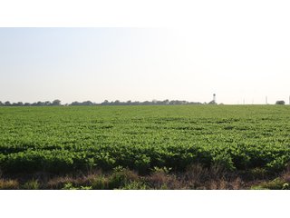 Property photo 110 - LAND AUCTION - 494.63+/- ACRES OFFERED IN 10 TRACTS IN AUDRAIN & MONROE COUNTIES MISSOURI