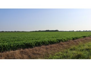 Property photo 111 - LAND AUCTION - 494.63+/- ACRES OFFERED IN 10 TRACTS IN AUDRAIN & MONROE COUNTIES MISSOURI