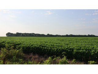 Property photo 97 - LAND AUCTION - 494.63+/- ACRES OFFERED IN 10 TRACTS IN AUDRAIN & MONROE COUNTIES MISSOURI