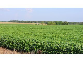 Property photo 112 - LAND AUCTION - 494.63+/- ACRES OFFERED IN 10 TRACTS IN AUDRAIN & MONROE COUNTIES MISSOURI