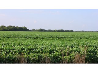 Property photo 99 - LAND AUCTION - 494.63+/- ACRES OFFERED IN 10 TRACTS IN AUDRAIN & MONROE COUNTIES MISSOURI