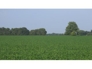 Property photo 18 - LAND AUCTION - 494.63+/- ACRES OFFERED IN 10 TRACTS IN AUDRAIN & MONROE COUNTIES MISSOURI