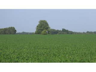 Property photo 19 - LAND AUCTION - 494.63+/- ACRES OFFERED IN 10 TRACTS IN AUDRAIN & MONROE COUNTIES MISSOURI