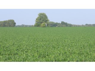 Property photo 20 - LAND AUCTION - 494.63+/- ACRES OFFERED IN 10 TRACTS IN AUDRAIN & MONROE COUNTIES MISSOURI