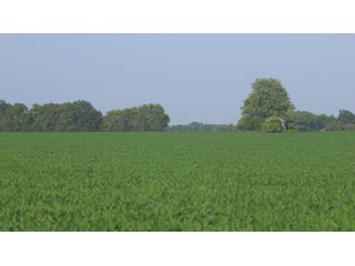 Property photo 21 - LAND AUCTION - 494.63+/- ACRES OFFERED IN 10 TRACTS IN AUDRAIN & MONROE COUNTIES MISSOURI