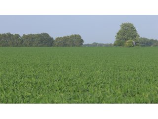 Property photo 22 - LAND AUCTION - 494.63+/- ACRES OFFERED IN 10 TRACTS IN AUDRAIN & MONROE COUNTIES MISSOURI