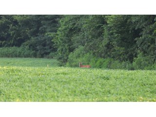 Property photo 119 - LAND AUCTION - 494.63+/- ACRES OFFERED IN 10 TRACTS IN AUDRAIN & MONROE COUNTIES MISSOURI