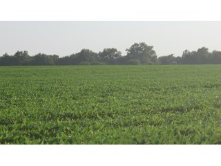 Property photo 121 - LAND AUCTION - 494.63+/- ACRES OFFERED IN 10 TRACTS IN AUDRAIN & MONROE COUNTIES MISSOURI
