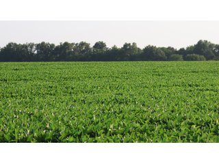 Property photo 122 - LAND AUCTION - 494.63+/- ACRES OFFERED IN 10 TRACTS IN AUDRAIN & MONROE COUNTIES MISSOURI