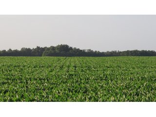 Property photo 24 - LAND AUCTION - 494.63+/- ACRES OFFERED IN 10 TRACTS IN AUDRAIN & MONROE COUNTIES MISSOURI