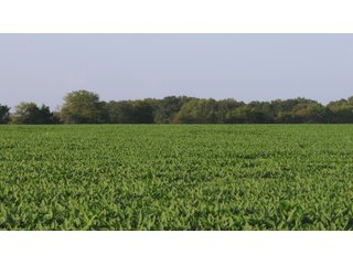 Property photo 27 - LAND AUCTION - 494.63+/- ACRES OFFERED IN 10 TRACTS IN AUDRAIN & MONROE COUNTIES MISSOURI