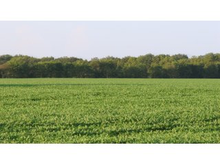 Property photo 30 - LAND AUCTION - 494.63+/- ACRES OFFERED IN 10 TRACTS IN AUDRAIN & MONROE COUNTIES MISSOURI