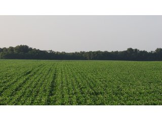 Property photo 32 - LAND AUCTION - 494.63+/- ACRES OFFERED IN 10 TRACTS IN AUDRAIN & MONROE COUNTIES MISSOURI