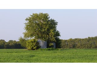 Property photo 33 - LAND AUCTION - 494.63+/- ACRES OFFERED IN 10 TRACTS IN AUDRAIN & MONROE COUNTIES MISSOURI