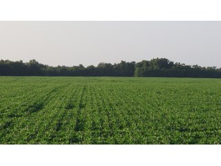 Property photo 38 - LAND AUCTION - 494.63+/- ACRES OFFERED IN 10 TRACTS IN AUDRAIN & MONROE COUNTIES MISSOURI