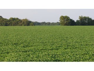Property photo 40 - LAND AUCTION - 494.63+/- ACRES OFFERED IN 10 TRACTS IN AUDRAIN & MONROE COUNTIES MISSOURI