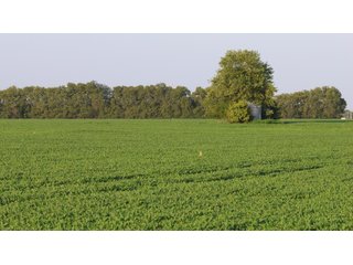 Property photo 43 - LAND AUCTION - 494.63+/- ACRES OFFERED IN 10 TRACTS IN AUDRAIN & MONROE COUNTIES MISSOURI