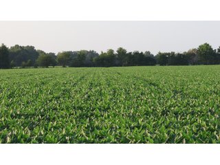 Property photo 44 - LAND AUCTION - 494.63+/- ACRES OFFERED IN 10 TRACTS IN AUDRAIN & MONROE COUNTIES MISSOURI