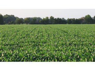 Property photo 45 - LAND AUCTION - 494.63+/- ACRES OFFERED IN 10 TRACTS IN AUDRAIN & MONROE COUNTIES MISSOURI
