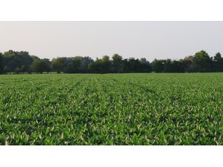 Property photo 46 - LAND AUCTION - 494.63+/- ACRES OFFERED IN 10 TRACTS IN AUDRAIN & MONROE COUNTIES MISSOURI