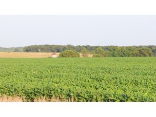 Property photo 123 - LAND AUCTION - 494.63+/- ACRES OFFERED IN 10 TRACTS IN AUDRAIN & MONROE COUNTIES MISSOURI