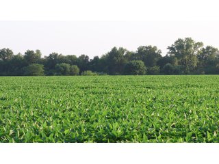 Property photo 48 - LAND AUCTION - 494.63+/- ACRES OFFERED IN 10 TRACTS IN AUDRAIN & MONROE COUNTIES MISSOURI