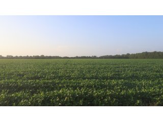 Property photo 49 - LAND AUCTION - 494.63+/- ACRES OFFERED IN 10 TRACTS IN AUDRAIN & MONROE COUNTIES MISSOURI
