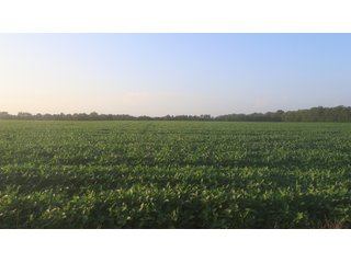 Property photo 50 - LAND AUCTION - 494.63+/- ACRES OFFERED IN 10 TRACTS IN AUDRAIN & MONROE COUNTIES MISSOURI