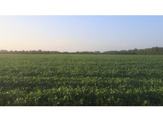 Property photo 51 - LAND AUCTION - 494.63+/- ACRES OFFERED IN 10 TRACTS IN AUDRAIN & MONROE COUNTIES MISSOURI