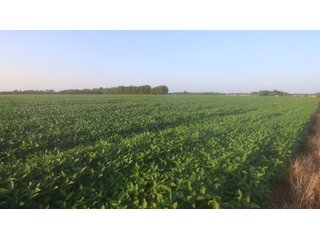 Property photo 52 - LAND AUCTION - 494.63+/- ACRES OFFERED IN 10 TRACTS IN AUDRAIN & MONROE COUNTIES MISSOURI