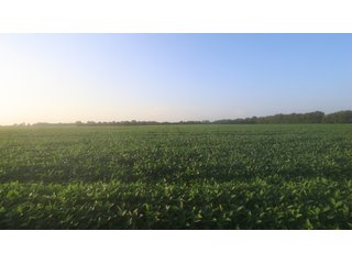 Property photo 53 - LAND AUCTION - 494.63+/- ACRES OFFERED IN 10 TRACTS IN AUDRAIN & MONROE COUNTIES MISSOURI