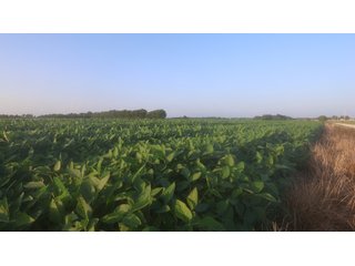 Property photo 54 - LAND AUCTION - 494.63+/- ACRES OFFERED IN 10 TRACTS IN AUDRAIN & MONROE COUNTIES MISSOURI