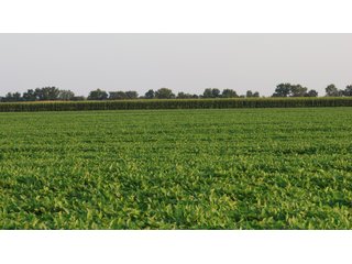 Property photo 124 - LAND AUCTION - 494.63+/- ACRES OFFERED IN 10 TRACTS IN AUDRAIN & MONROE COUNTIES MISSOURI