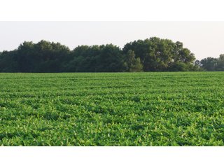 Property photo 55 - LAND AUCTION - 494.63+/- ACRES OFFERED IN 10 TRACTS IN AUDRAIN & MONROE COUNTIES MISSOURI