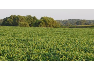 Property photo 125 - LAND AUCTION - 494.63+/- ACRES OFFERED IN 10 TRACTS IN AUDRAIN & MONROE COUNTIES MISSOURI