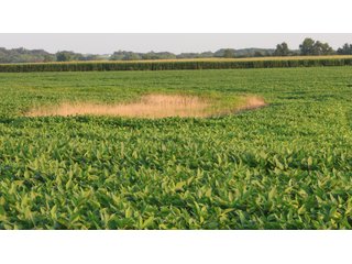 Property photo 126 - LAND AUCTION - 494.63+/- ACRES OFFERED IN 10 TRACTS IN AUDRAIN & MONROE COUNTIES MISSOURI