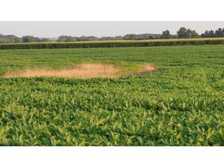 Property photo 127 - LAND AUCTION - 494.63+/- ACRES OFFERED IN 10 TRACTS IN AUDRAIN & MONROE COUNTIES MISSOURI