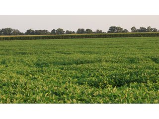 Property photo 128 - LAND AUCTION - 494.63+/- ACRES OFFERED IN 10 TRACTS IN AUDRAIN & MONROE COUNTIES MISSOURI