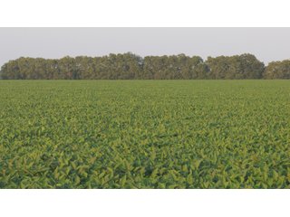 Property photo 100 - LAND AUCTION - 494.63+/- ACRES OFFERED IN 10 TRACTS IN AUDRAIN & MONROE COUNTIES MISSOURI