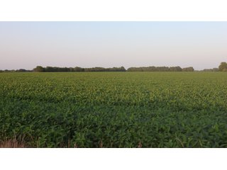Property photo 101 - LAND AUCTION - 494.63+/- ACRES OFFERED IN 10 TRACTS IN AUDRAIN & MONROE COUNTIES MISSOURI