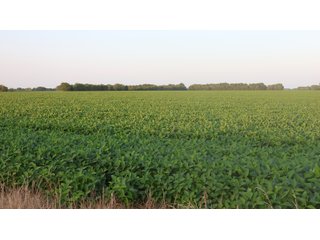 Property photo 102 - LAND AUCTION - 494.63+/- ACRES OFFERED IN 10 TRACTS IN AUDRAIN & MONROE COUNTIES MISSOURI