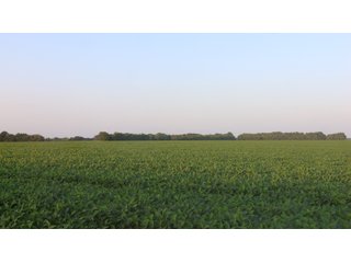Property photo 103 - LAND AUCTION - 494.63+/- ACRES OFFERED IN 10 TRACTS IN AUDRAIN & MONROE COUNTIES MISSOURI