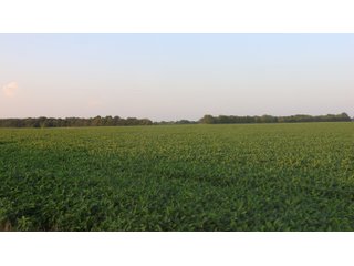Property photo 104 - LAND AUCTION - 494.63+/- ACRES OFFERED IN 10 TRACTS IN AUDRAIN & MONROE COUNTIES MISSOURI