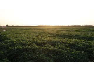 Property photo 57 - LAND AUCTION - 494.63+/- ACRES OFFERED IN 10 TRACTS IN AUDRAIN & MONROE COUNTIES MISSOURI