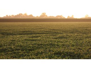 Property photo 59 - LAND AUCTION - 494.63+/- ACRES OFFERED IN 10 TRACTS IN AUDRAIN & MONROE COUNTIES MISSOURI
